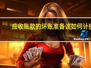 应收账款的坏账准备该如何计提