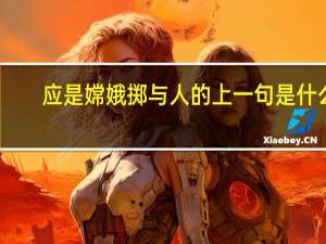 应是嫦娥掷与人的上一句是什么