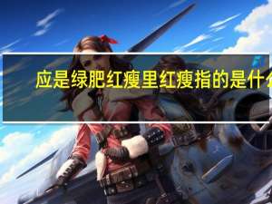 应是绿肥红瘦里红瘦指的是什么