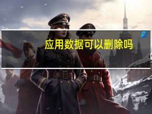 应用数据可以删除吗