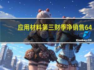 应用材料第三财季净销售64.3亿美元分析师预期61.6亿美元
