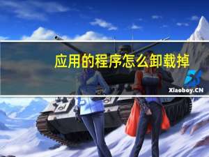 应用的程序怎么卸载掉