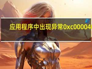 应用程序中出现异常0xc0000409