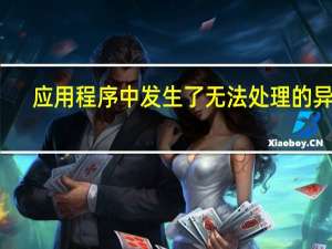 应用程序中发生了无法处理的异常
