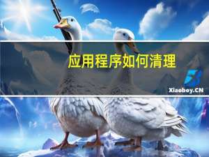 应用程序如何清理