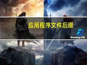 应用程序文件后缀