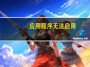 应用程序无法启用