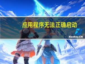 应用程序无法正确启动