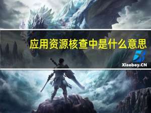应用资源核查中是什么意思