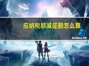 应纳税额减征额怎么算