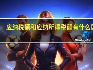 应纳税额和应纳所得税额有什么区别（应纳税额和应纳税所得额的区别）