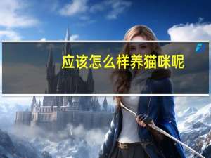 应该怎么样养猫咪呢