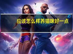 应该怎么样养猫咪好一点