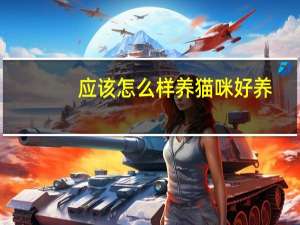 应该怎么样养猫咪好养