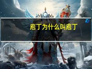 庖丁为什么叫庖丁（庖丁指的是什么）
