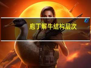 庖丁解牛结构层次