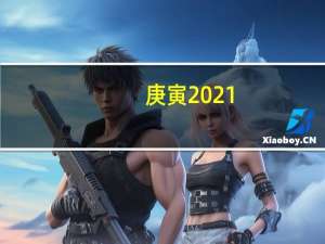 庚寅2021（SB(39)2010 庚寅年简介）