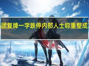 庞大集团复牌一字跌停 内部人士称重整成功概率超9成