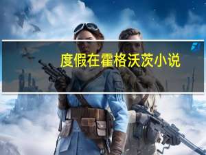 度假在霍格沃茨小说（度假在霍格沃兹）