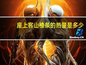 座上客 山楂条的热量是多少