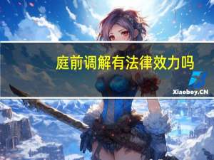 庭前调解有法律效力吗