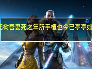 庭有枇杷树吾妻死之年所手植也今已亭亭如盖矣什么意思（庭有枇杷树吾妻死之年所手植也今已亭亭如盖矣）