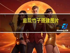 庭院竹子搭建图片（庭院竹子种类）