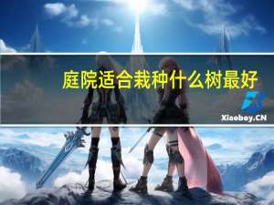 庭院适合栽种什么树最好（庭院适合栽种什么树）