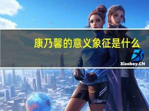 康乃馨的意义象征是什么
