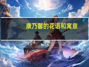 康乃馨的花语和寓意