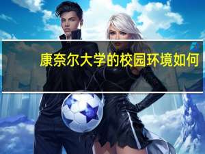 康奈尔大学的校园环境如何