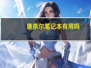 康奈尔笔记本有用吗