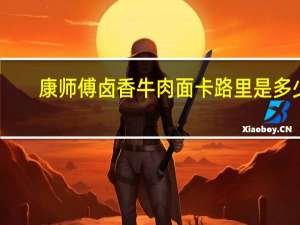 康师傅 卤香牛肉面卡路里是多少