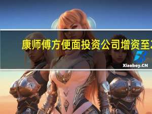 康师傅方便面投资公司增资至2.8亿美元