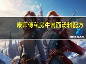 康师傅私房牛肉面汤料配方