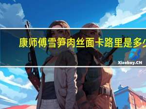 康师傅 雪笋肉丝面卡路里是多少