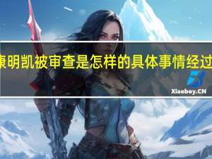康明凯被审查是怎样的具体事情经过是什么