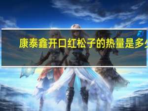 康泰鑫 开口红松子的热量是多少