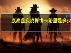 康泰鑫 炭烧梅饼卡路里是多少