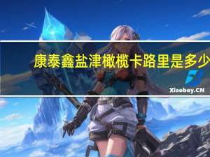 康泰鑫 盐津橄榄卡路里是多少