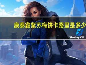 康泰鑫 紫苏梅饼卡路里是多少