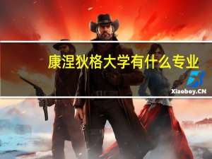 康涅狄格大学有什么专业