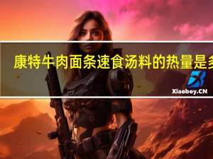 康特 牛肉面条速食汤料的热量是多少