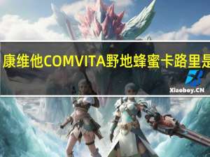 康维他 COMVITA 野地蜂蜜卡路里是多少