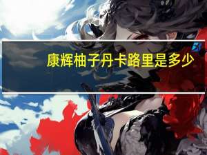 康辉 柚子丹卡路里是多少