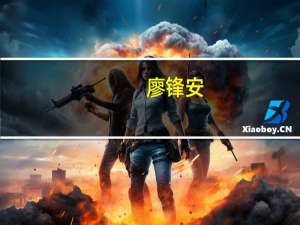 廖锋安（廖锋）