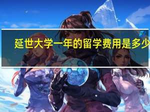 延世大学一年的留学费用是多少啊