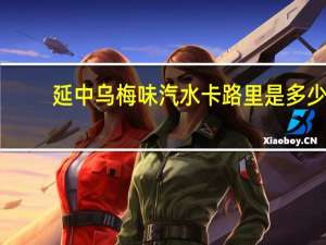 延中乌梅味汽水卡路里是多少