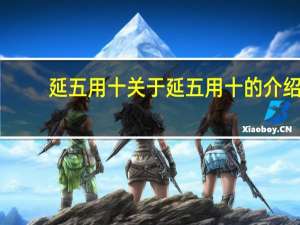 延五用十 关于延五用十的介绍