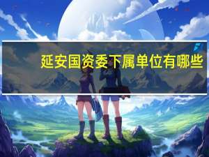 延安国资委下属单位有哪些